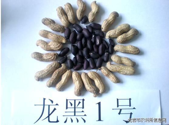 ڻƷ֡1š