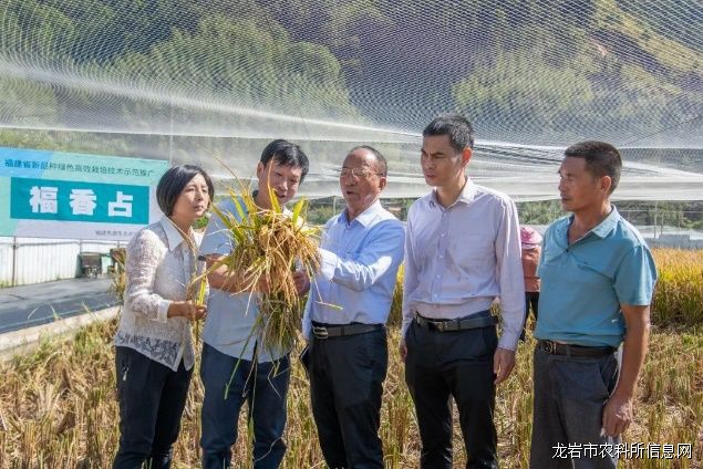 “优质水稻新品种绿色高效栽培技术示范与推广”通过专家现场测产验收！